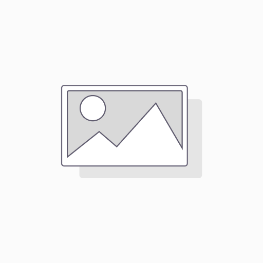 Web App Dev.